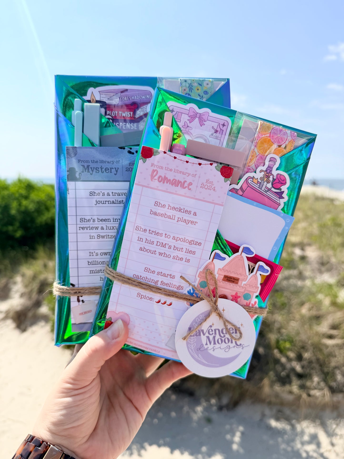 Beach Reads Blind Date with a Book