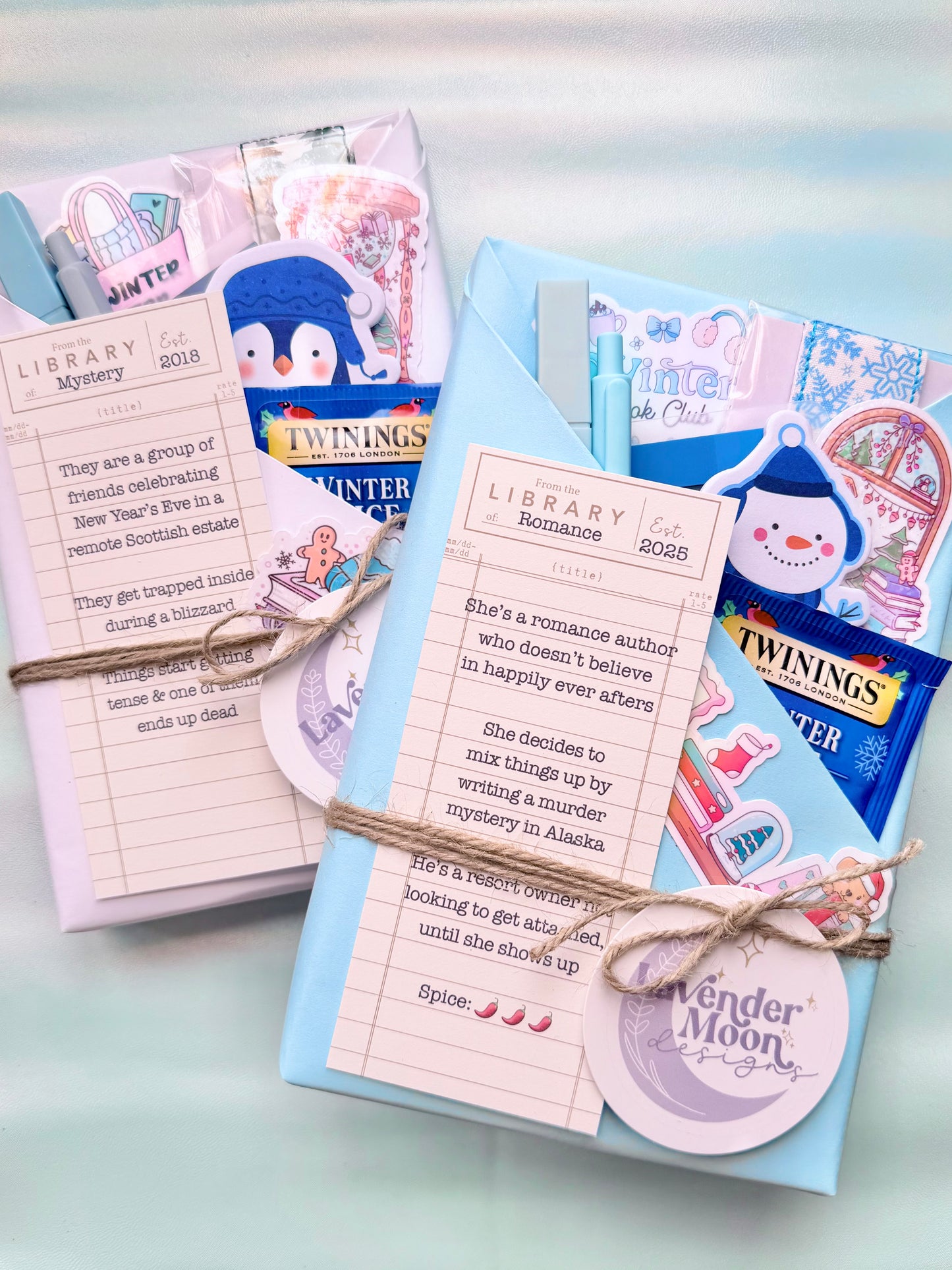 Winter Reads Blind Date with a Book