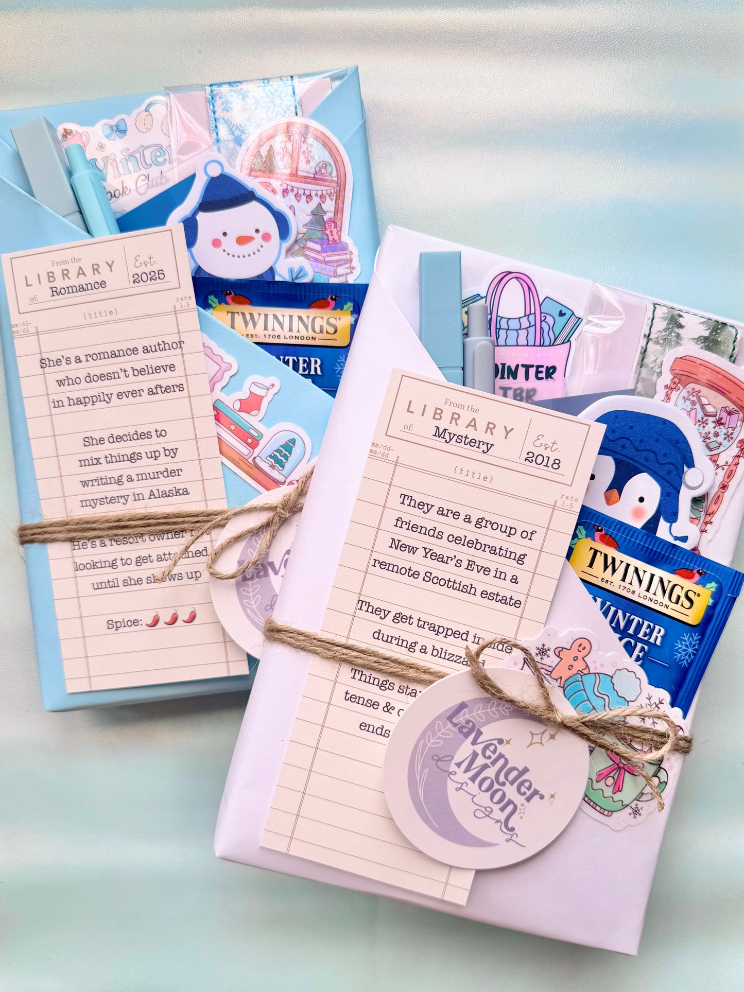 Winter Reads Blind Date with a Book